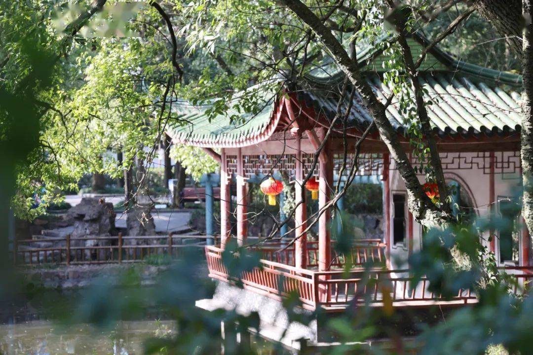 朱泾公园图片