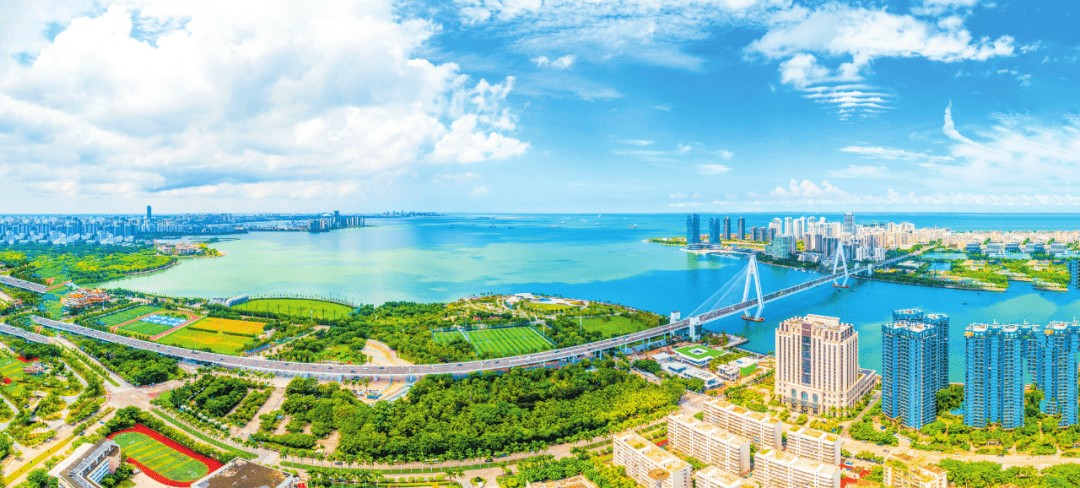 生态治理 | 揭秘：海口湾背后的升级“密码”_湿地_保护_海岸