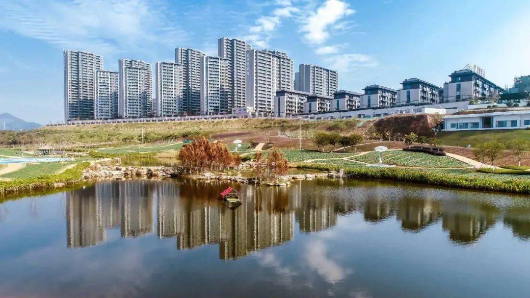 龙岩楼市回暖,哪个区域的楼盘值得购买呢?_紫金山_公园_住宅