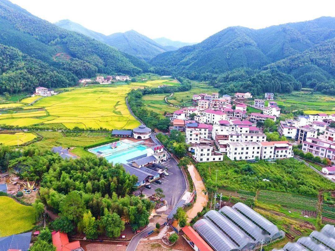 信丰县坪地山村"全家福"里的幸福事_实践_文明_村民