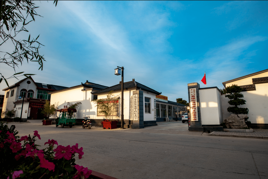 青州黄楼这个村,真不简单····_乡村_村民_发展