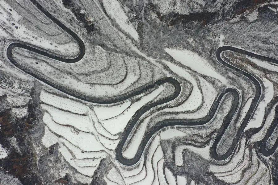 雪落子午岭 满目水墨诗意_甘肃省_林区_来源