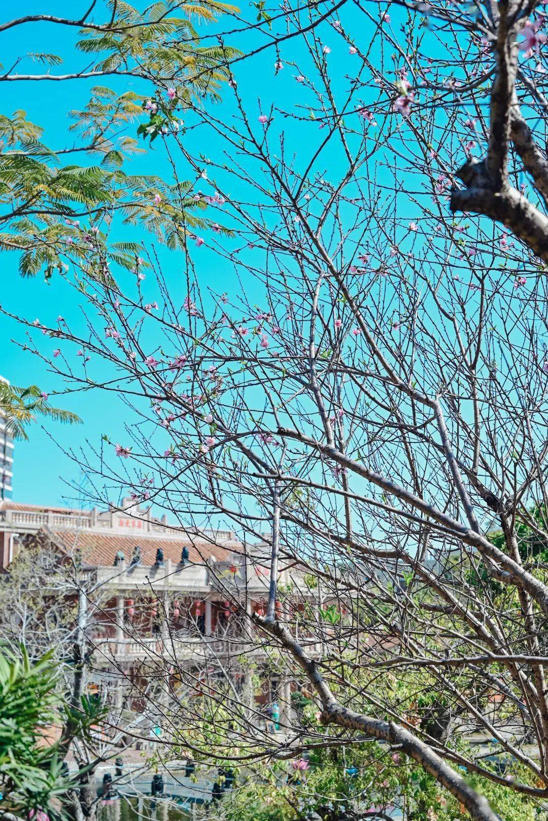 【七律】《晋江五店市》（步韵熊东遨老师《新建五店老街景区即笔》）庄灿煌