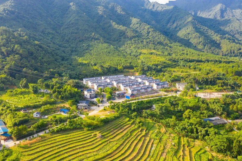 东坪镇:广东省第三大人工水库 属饮用水源一级保护区_新村_种植_全镇