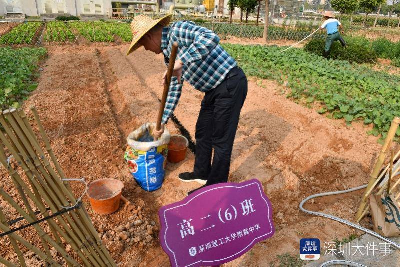 一路种地吧！深圳那位校长下地春耕，线上曲播教学生播种