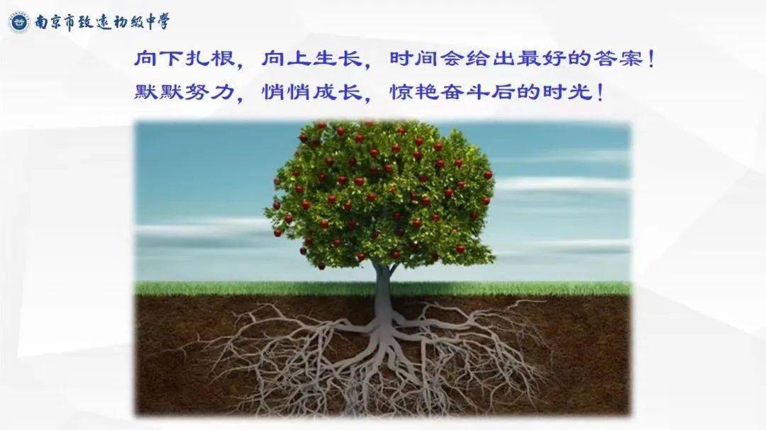 围观致远 | 向下扎根,新岁可期——九年级学生大会暨期末表彰大会_同学_进步_成绩