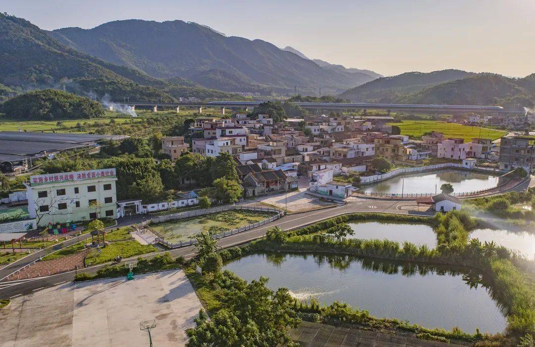 肇庆四会市:打造千亿级经济强县_建设_产业_发展