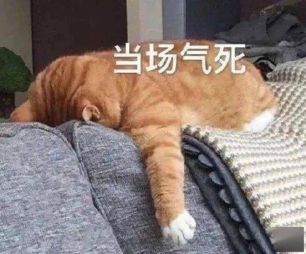 女子骂人太难听,男友被"气死"!法院判赔16万……_张某某_赔偿_女士