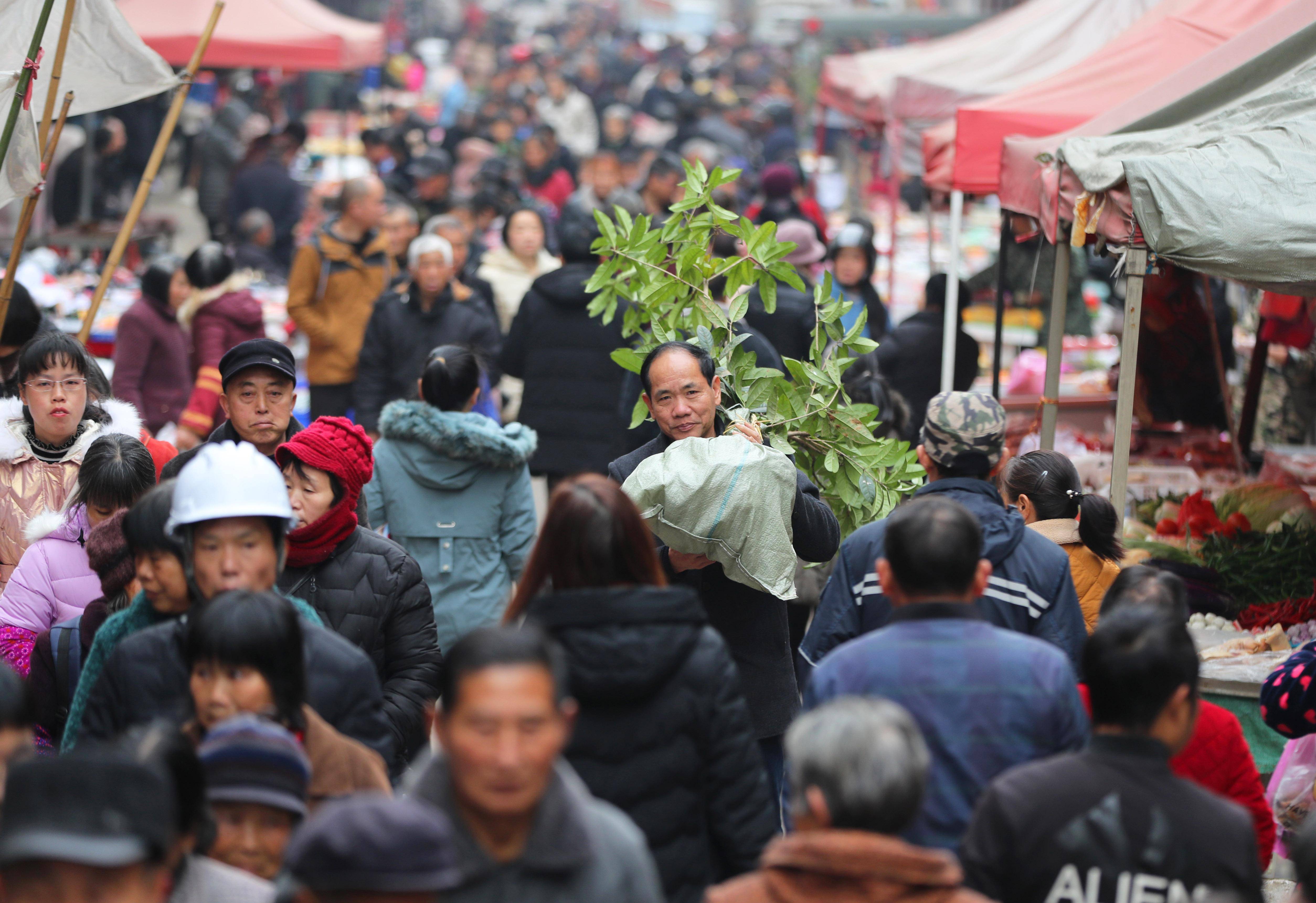 湖南省衡阳市衡东县杨林镇农贸市场,一名男子扛着树苗走过集市