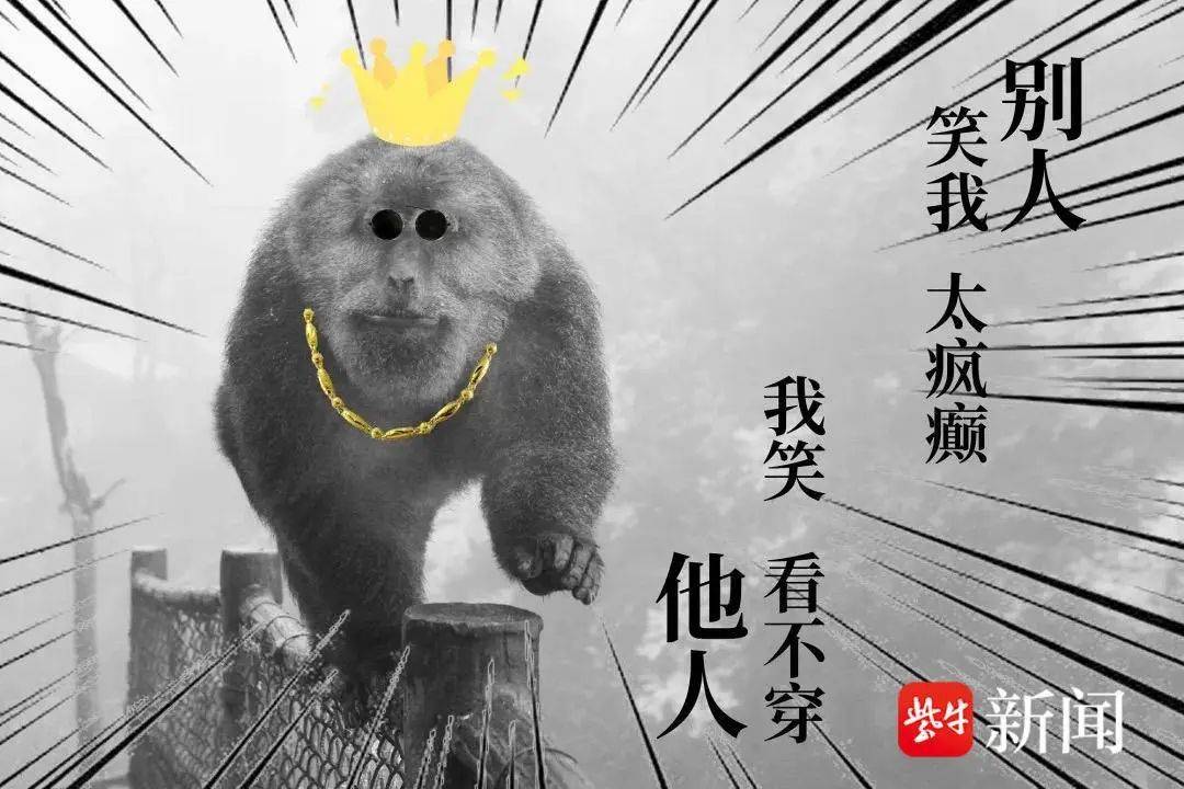 防“泼猴闹事”!峨眉山景区实行“人猴分离”,咋分?_猴子_网友_猴群