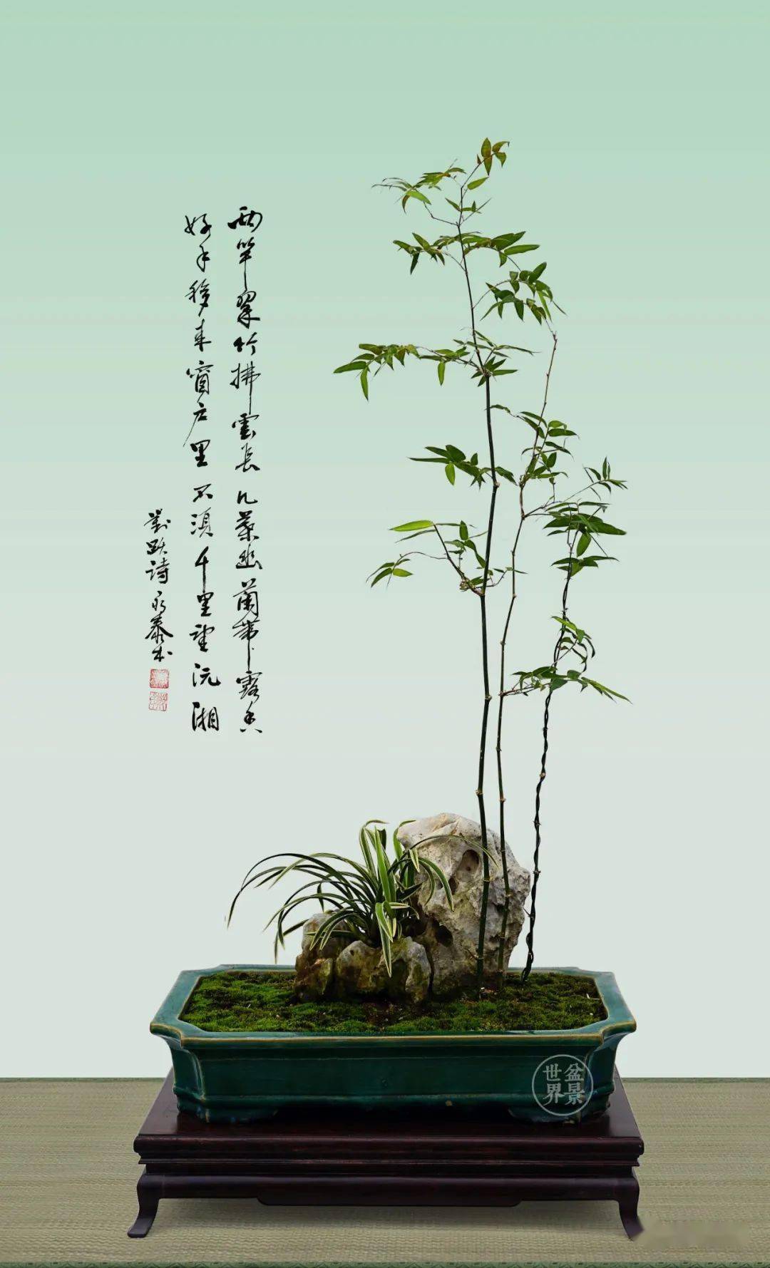 竹子告诉你,什么叫价值_郑永泰_作品_盆景