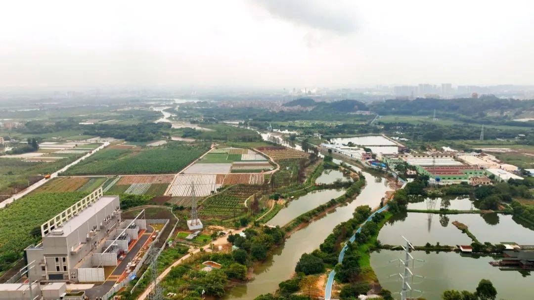 增城呢条村._新塘镇_碧道_文化