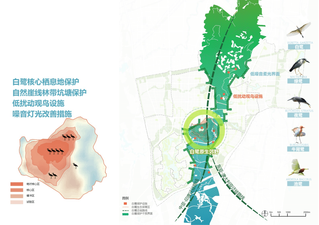 優秀方案 | 西部(重慶)科學城城市中心城市設計方案國際徵集 / aecom