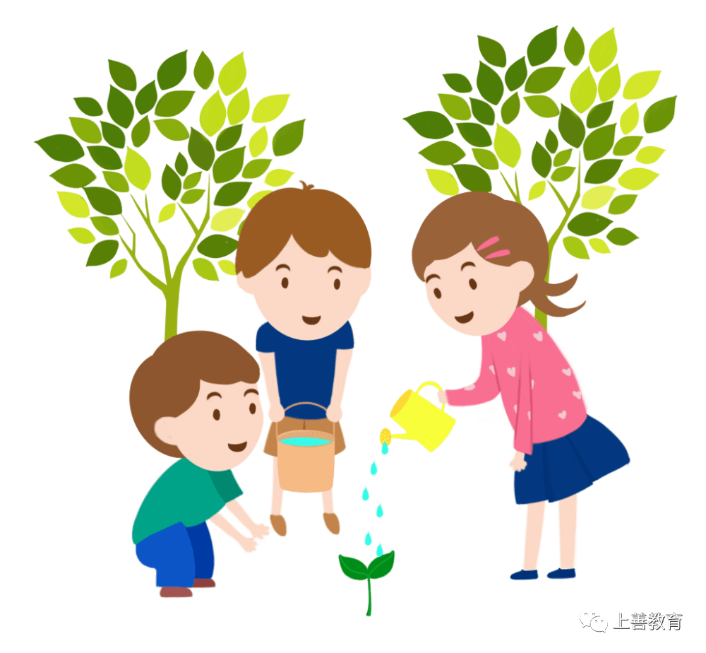 幼儿园植树节创意活动计划方案,我与小树共成长