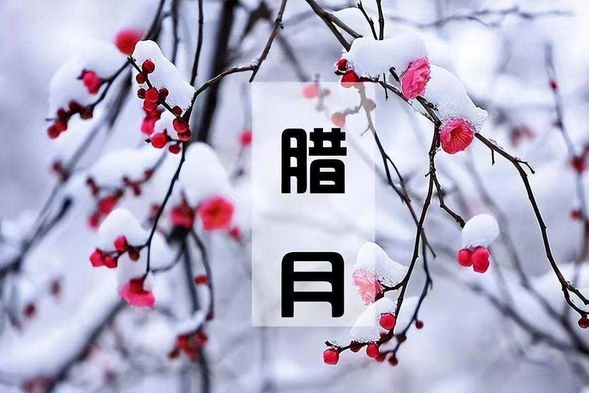 还有除月,末冬,腊冬,嘉平,季冬,严冬等别称,腊月,现通常指农历十二月