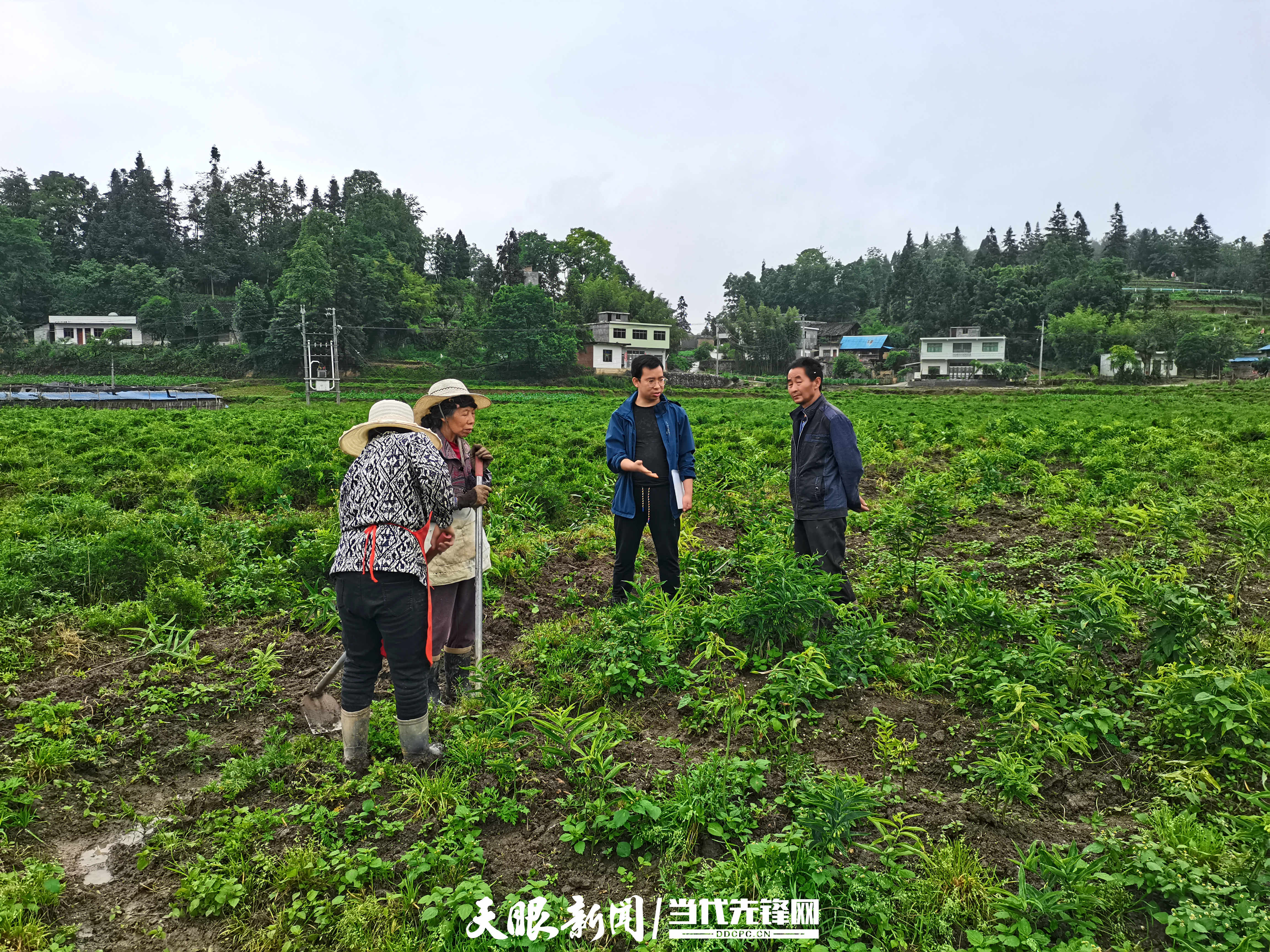 七星关区：聚人才之力 筑开展之基