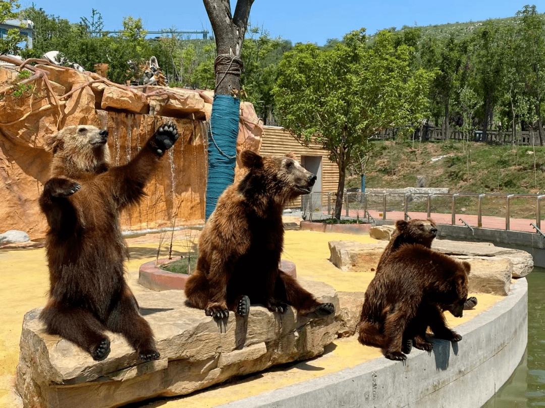 十堰动物园门票免费送!