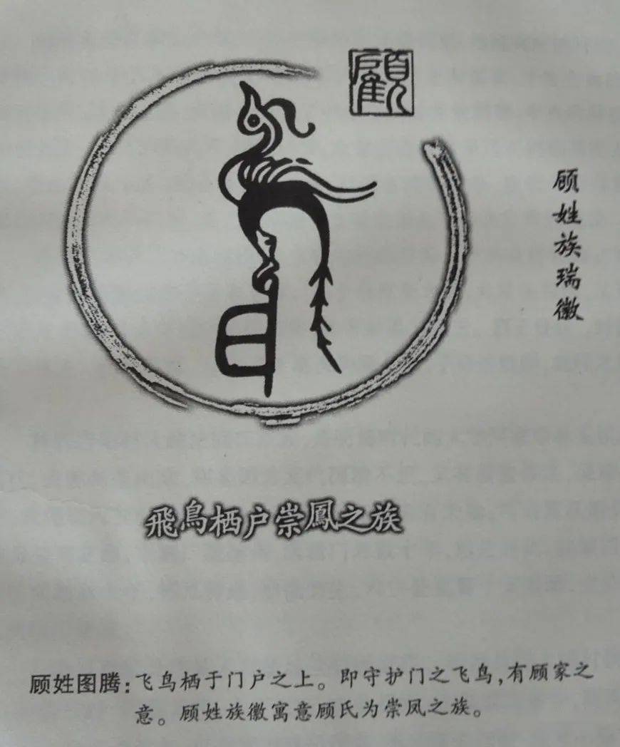 中國姓氏新排名,圖騰及其它_全國_李姓_網絡