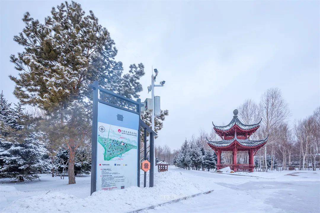 三月的雪花能够有多都雅