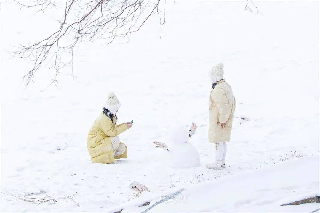 三月的雪花能够有多都雅