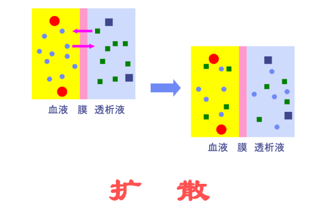 溶質的清除原理 —▼過程:將血液引入裝有固態吸附劑的灌流器中