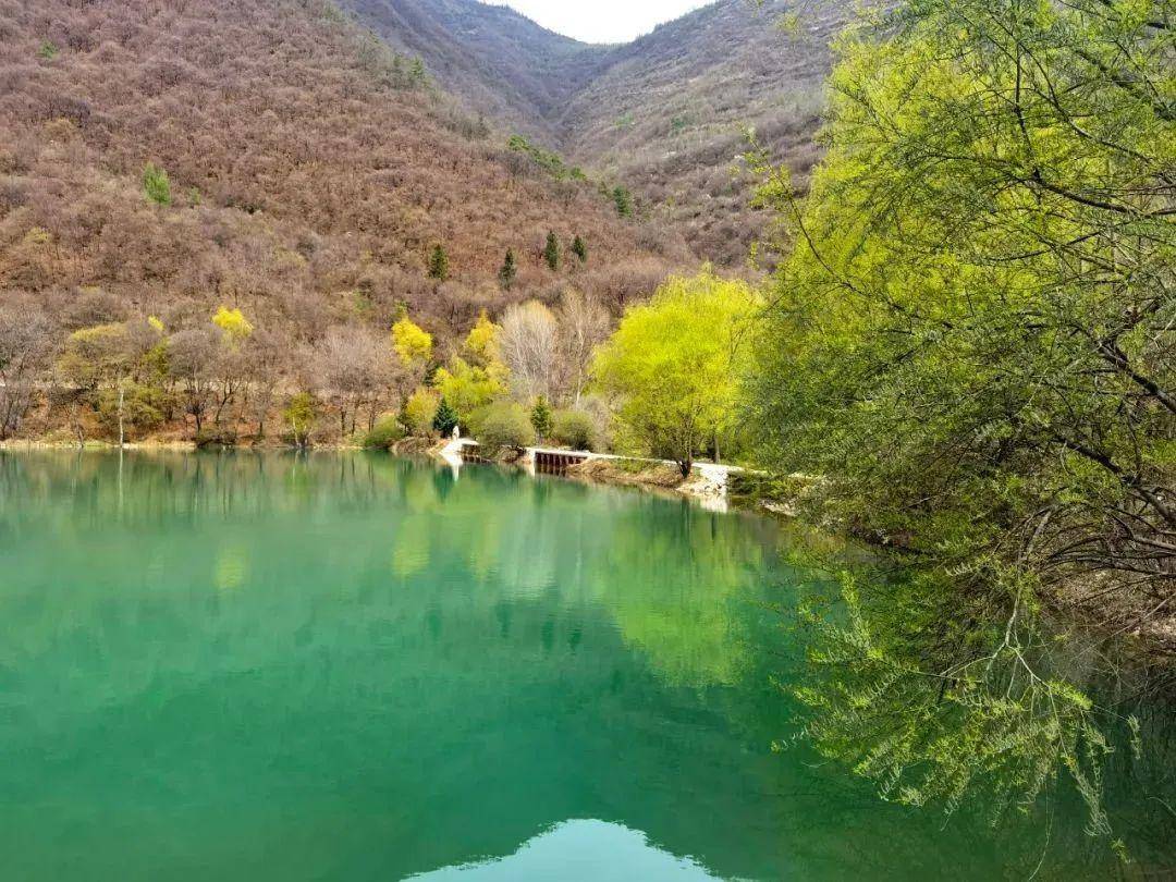 陇南风光 | 波荡摇春光,向着宕昌的春天出发吧_春风_万物_气息