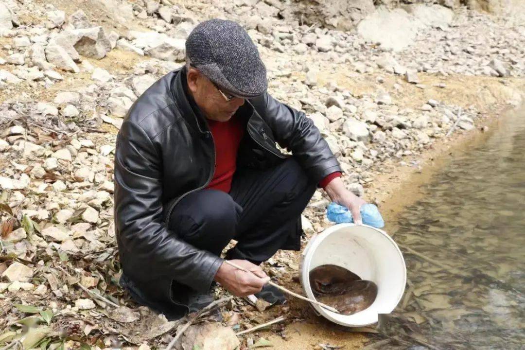 宁海村民发现一个通体全黑的"怪物",走近一看竟是……_娃娃鱼_老人