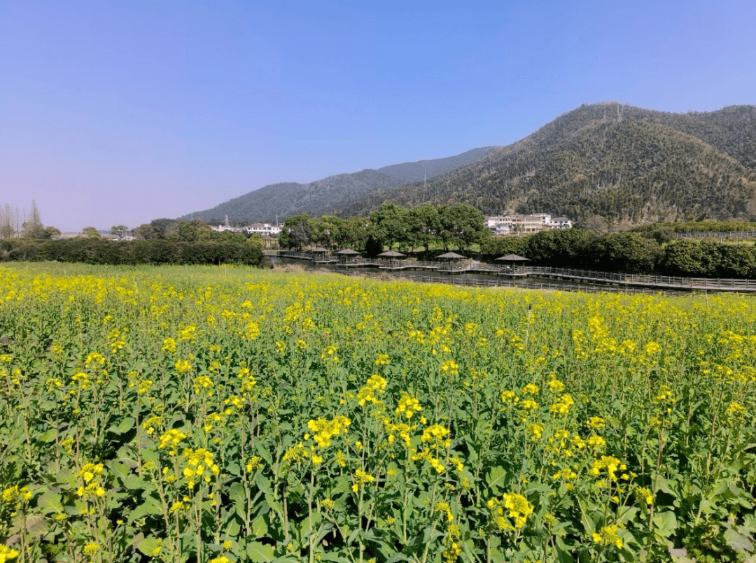 免费！南昌多地最新颁布发表