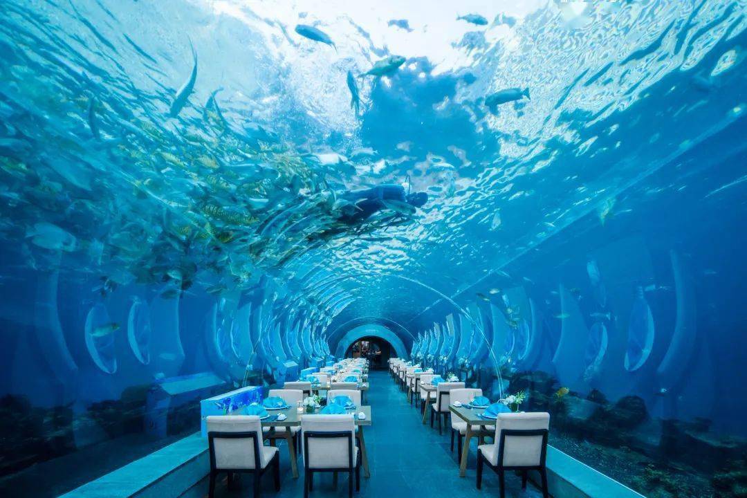 包含2大2小早餐,还有西餐厅火锅套餐1份,三亚机场至酒店四人座专车