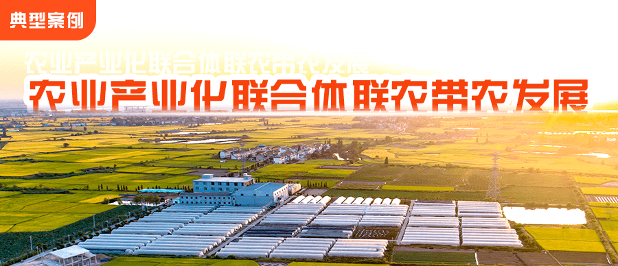 【案例精选】泰晟农业:全产业链创新发展 助力农民增收致富_联合体