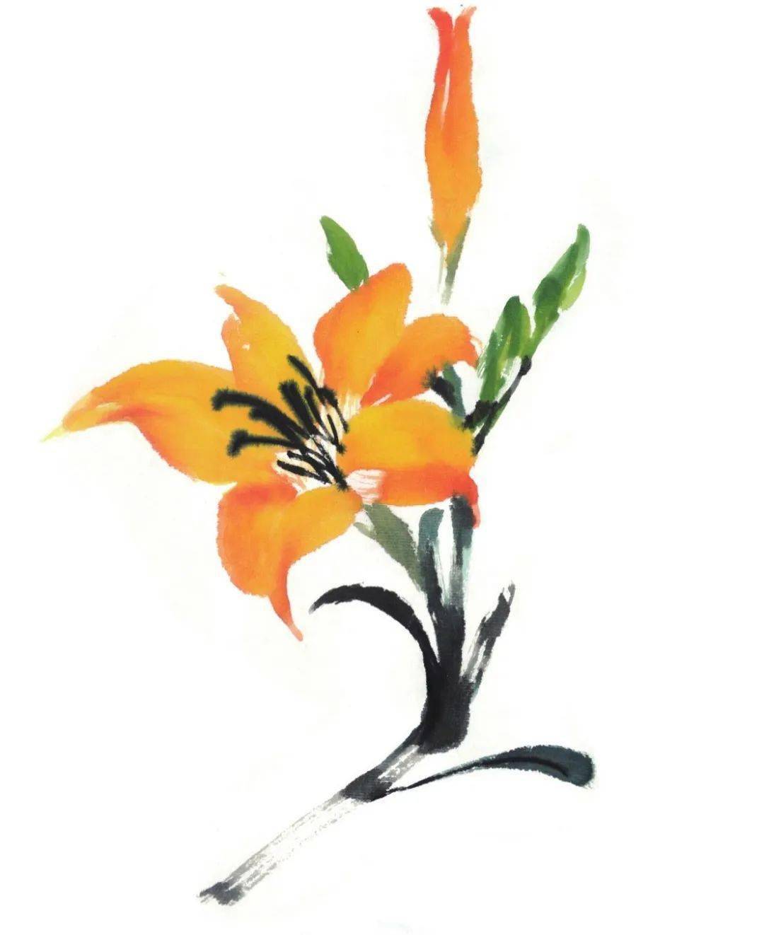 【国画教程】萱草的画法_花青_重置_藤黄