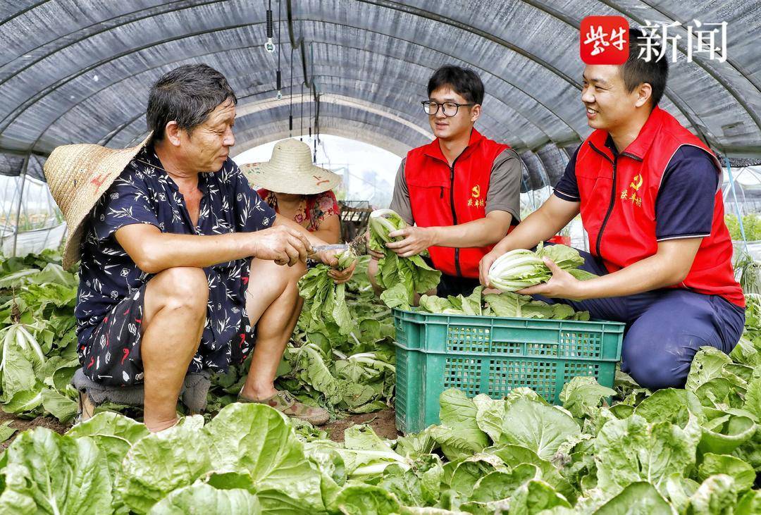 张家港市乐余镇：聚力凝“新” 奏响“四敢”强音