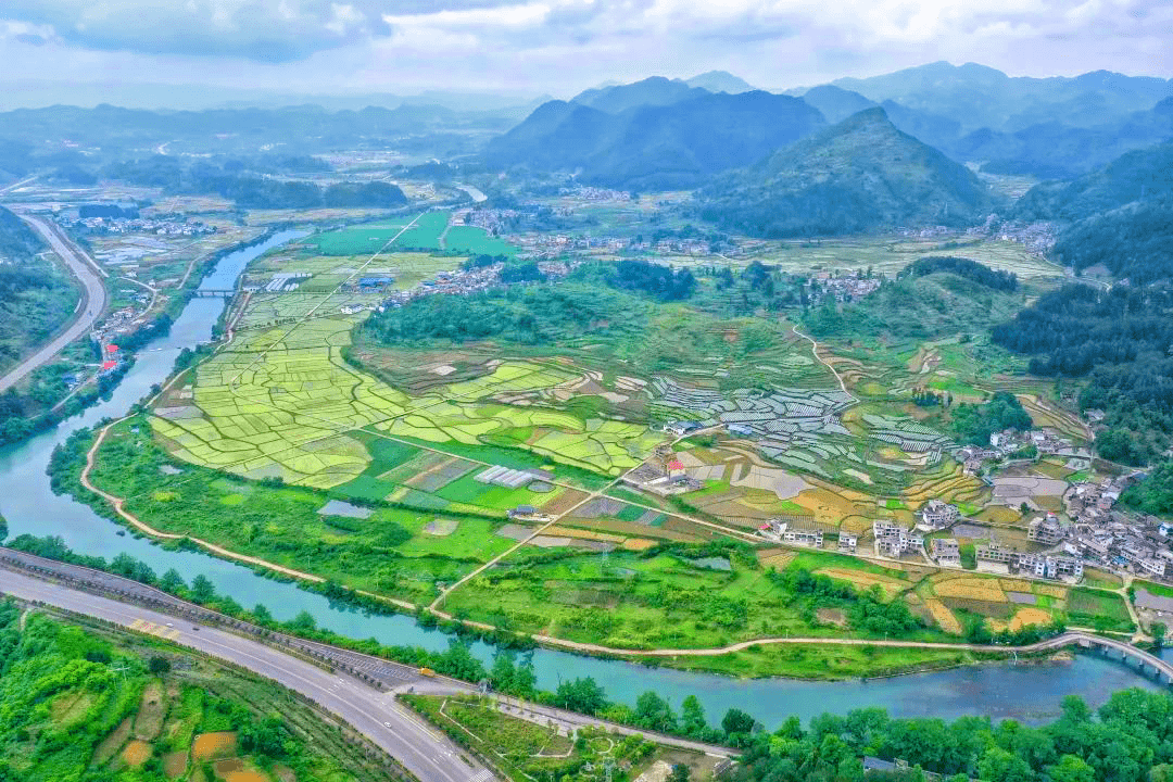 昌明镇_种植_粮油