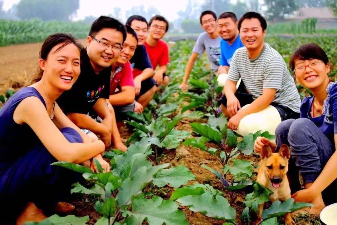 龙湾屯镇分享收获农场荣获2022年度国家级生态农场荣誉,该农场是顺义