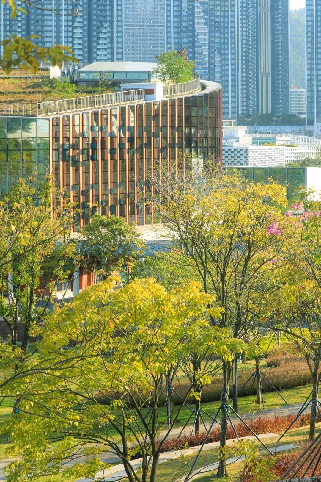深圳这所高校将面向游客开放,预约攻略→_南科_校园_入校