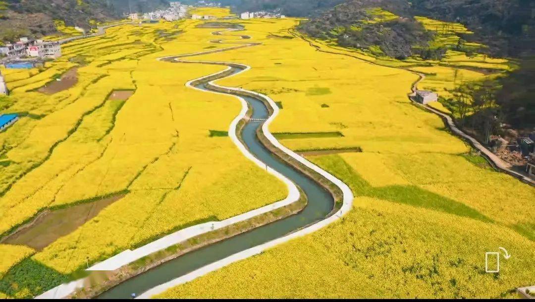 十里春风万物生 陌上花开待君来_关岭县_花江镇_距离