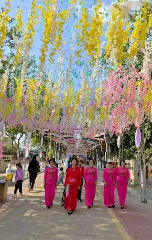 這裡黃花風鈴木盛開,週末一起來植樹賞花吧!_旅遊_行程_花海