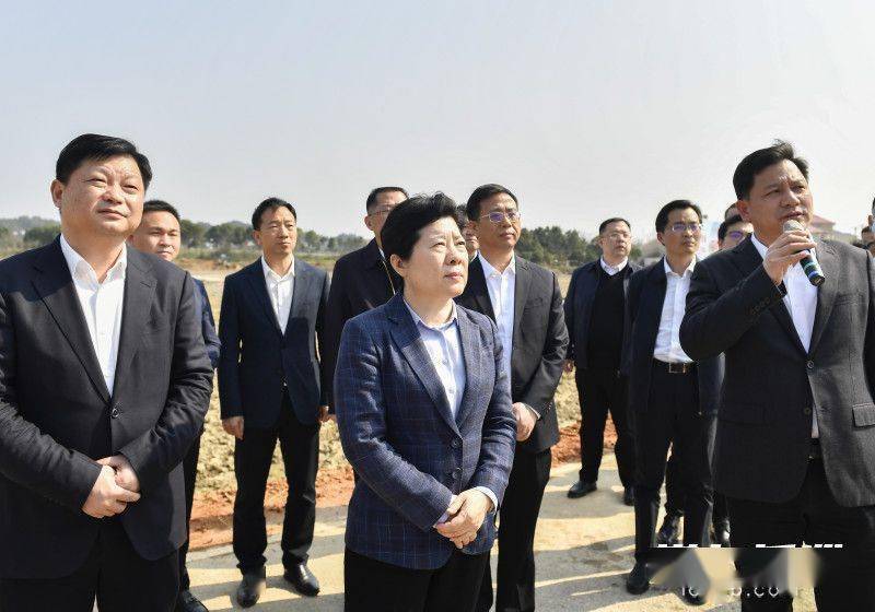 3月6日下午,湖南省委常委,长沙市委书记吴桂英在长沙县青山铺镇调研
