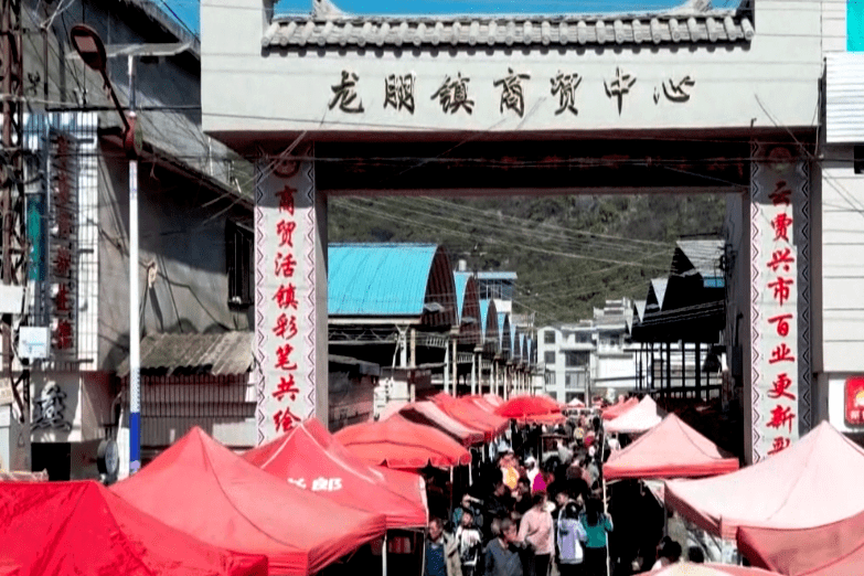 石屏县龙朋镇立足区位优势,绿色果蔬优势和生态优势