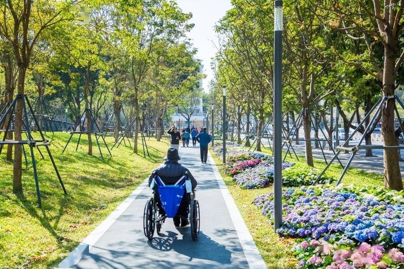 深城交牵头设计的上步绿廊公园获殊荣_城市_深圳_科学技术