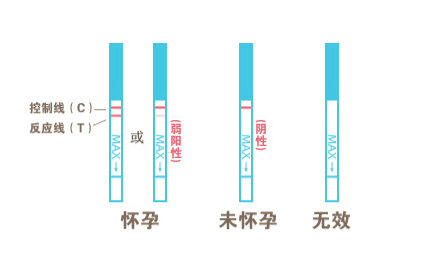 快来看（怀孕试纸恶搞的图案）怀孕试纸图片下载 第3张