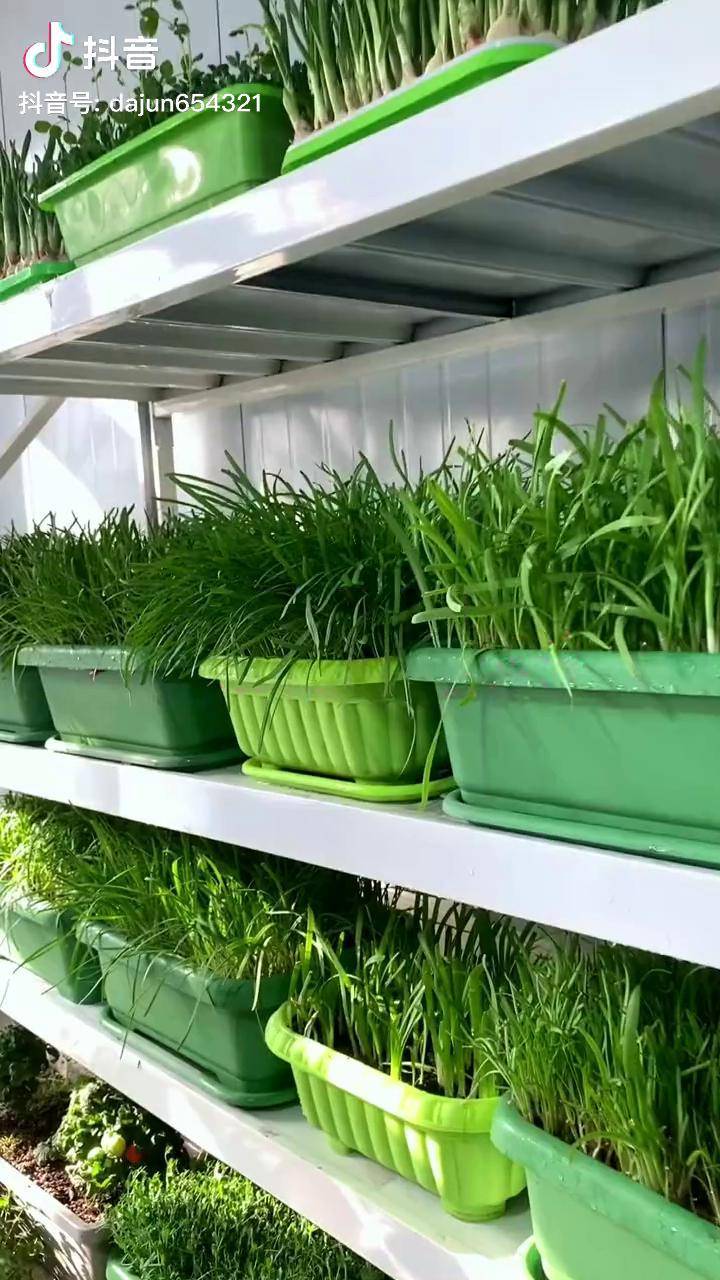 家庭种植产品(家庭种植产品内部结构)
