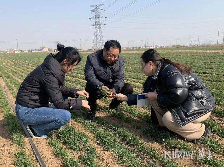 邯郸永年：为农办事到田间地头