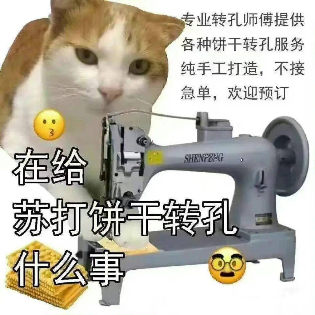 猫猫很忙表情包