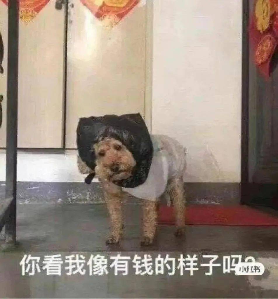 英国留学费用_英国留学一年费用_英国硕士留学预算