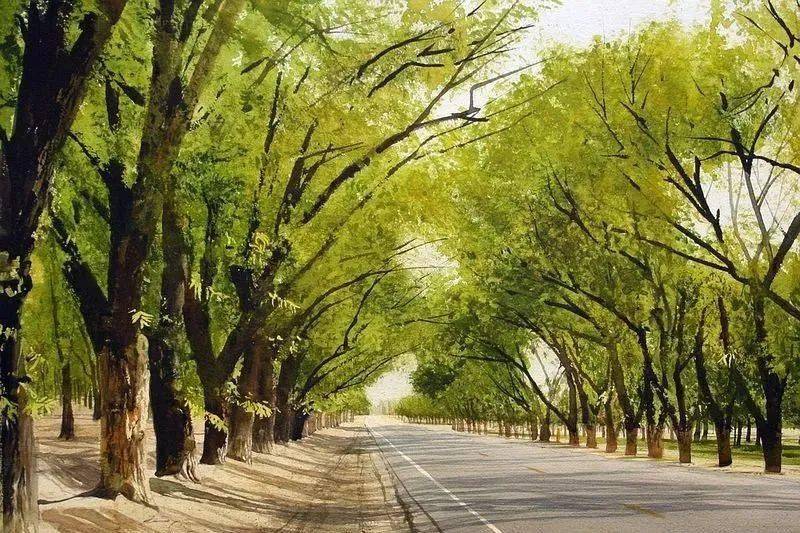 水彩大峡谷风景画,原来水彩也能画得如此壮观!_美国_签名_交流