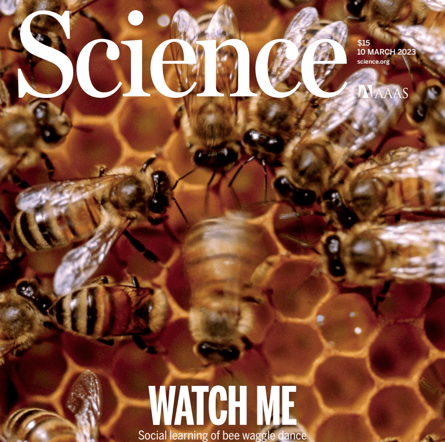 signal learning of the waggle dance in honey bees"的研究论文,该