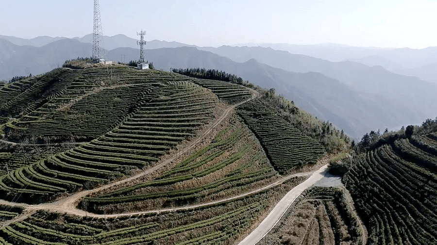 双牌云台山茶场图片