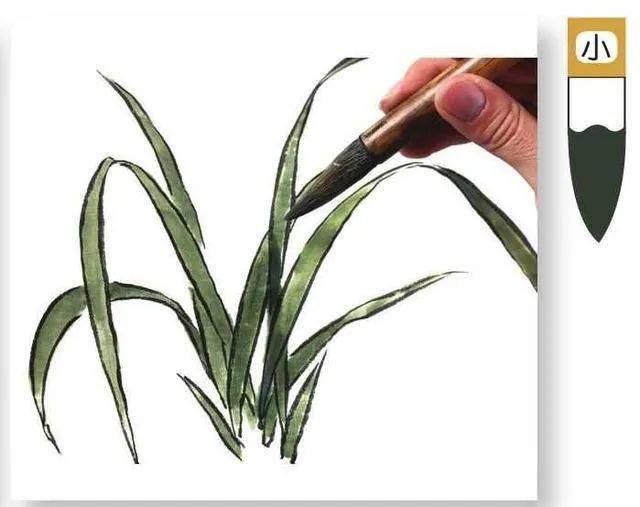 国画教程一学就会双勾填色法画写意兰叶