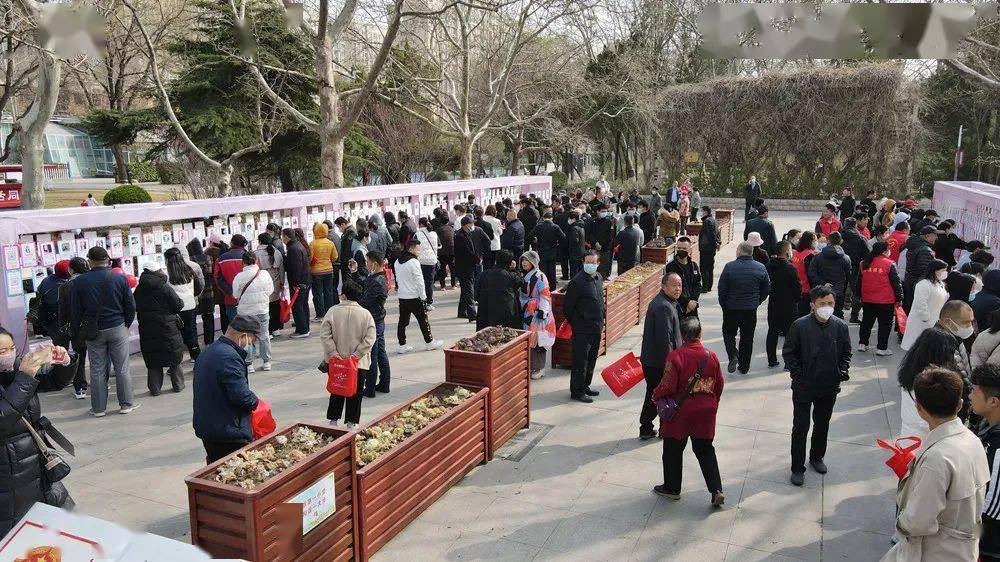 聊城人民公园公益相亲会今日开幕 全程免费,等你!